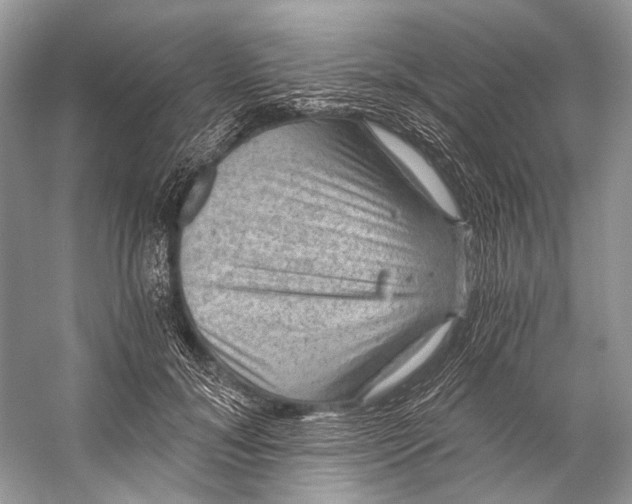 X0000058820700200510171537