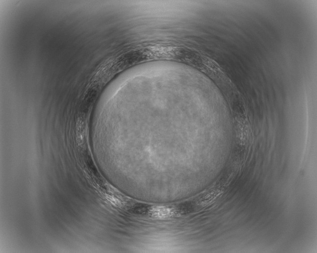 X0000058820701200510171537