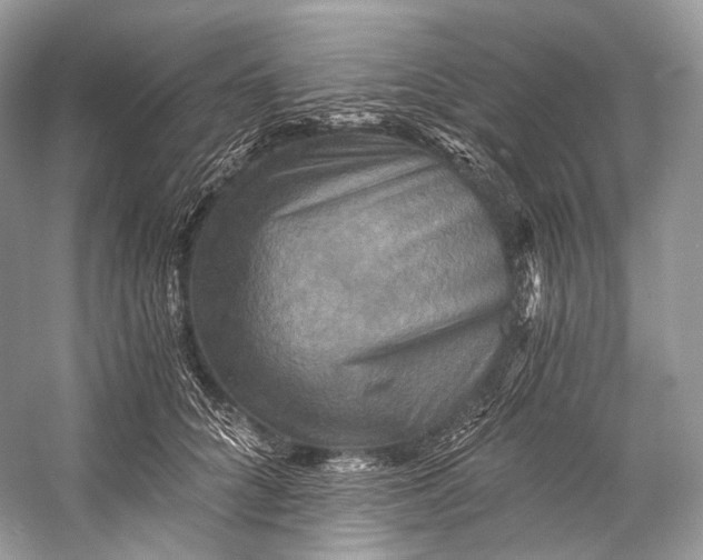 X0000058820704200510171537