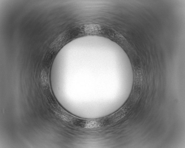 X0000058820705200510171537