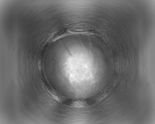 X0000058820708200510171537