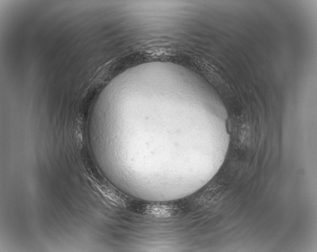X0000058820710200510171537