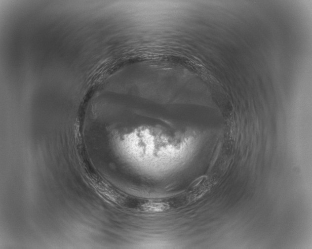 X0000058820711200510171537