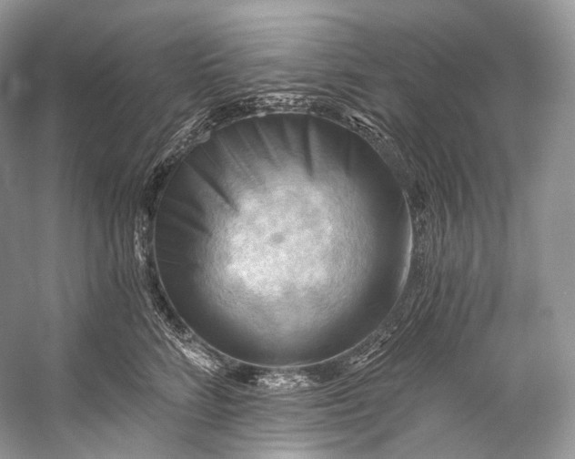 X0000058820712200510171537