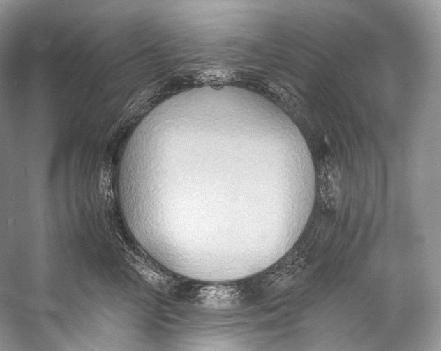 X0000058820714200510171537