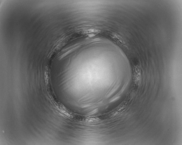 X0000058820716200510171537