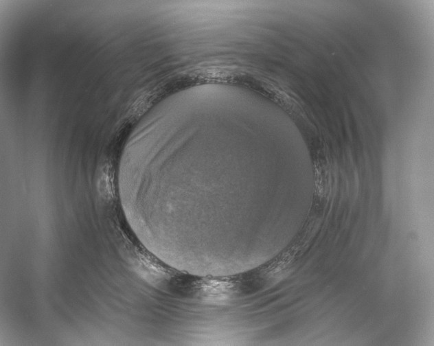 X0000058820718200510171537
