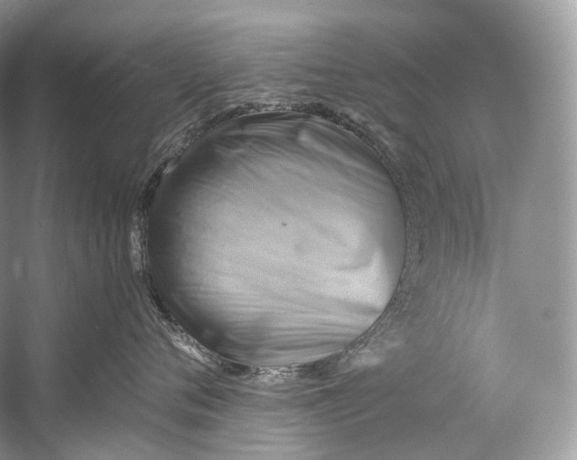X0000058820720200510171537