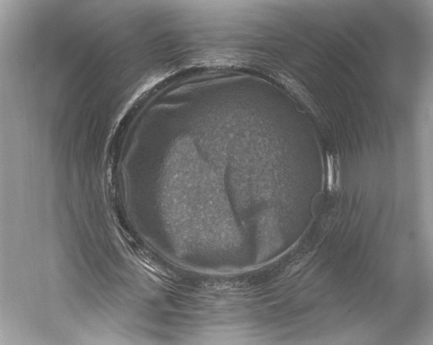 X0000058820723200510171536