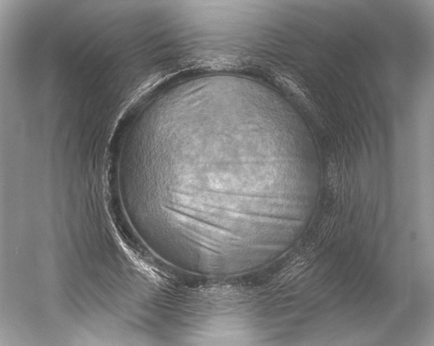 X0000058820730200510171536