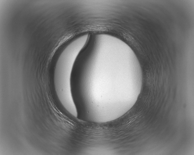 X0000058820731200510171536