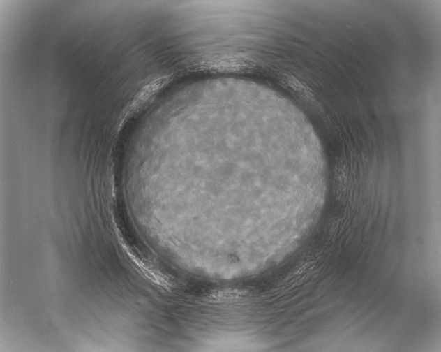 X0000058820734200510171536