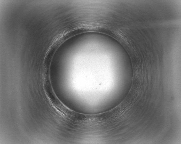 X0000058820736200510171536