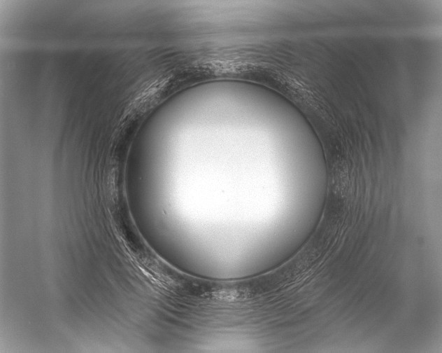 X0000058820740200510171536
