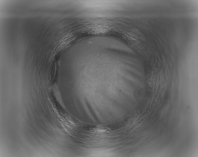 X0000058820743200510171536