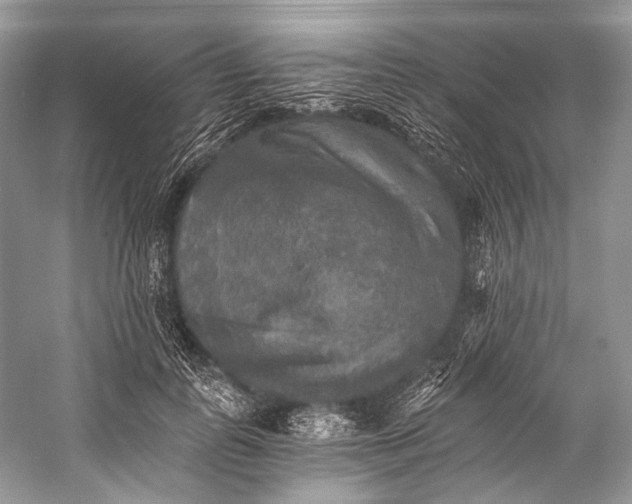 X0000058820747200510171536