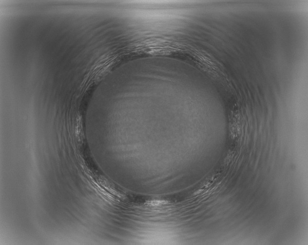 X0000058820748200510171536