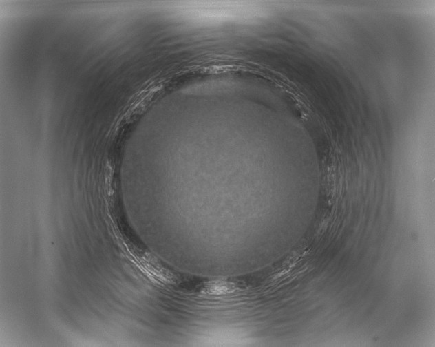 X0000058820750200510171537