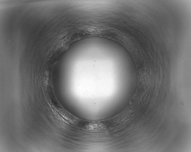 X0000058820752200510171537