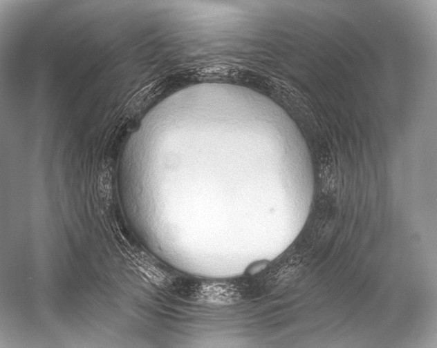 X0000058820753200510171537