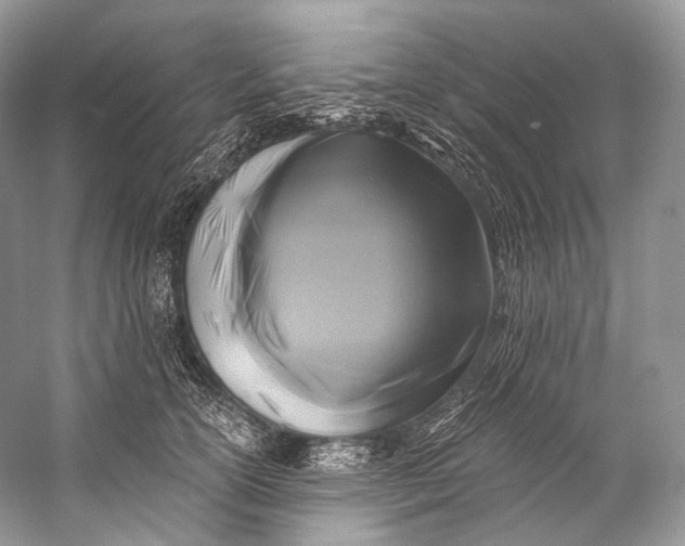 X0000058820754200510171537