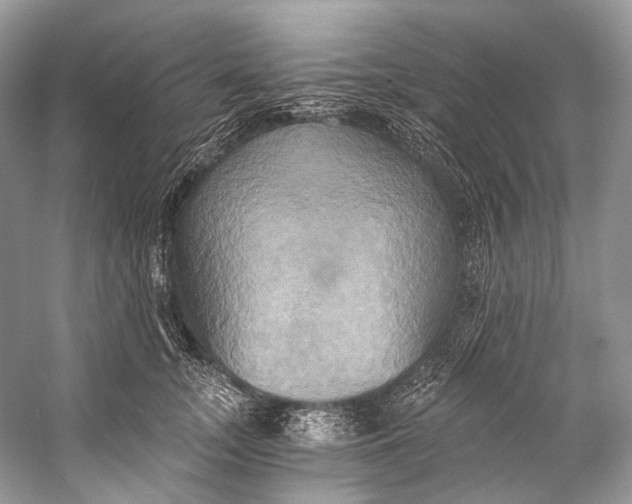 X0000058820755200510171537