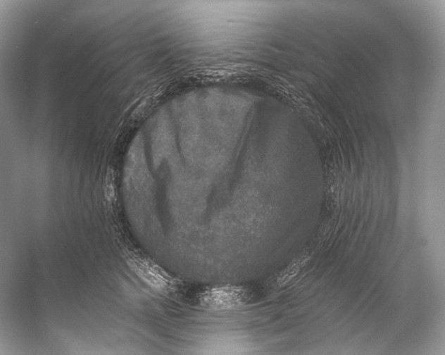 X0000058820758200510171537