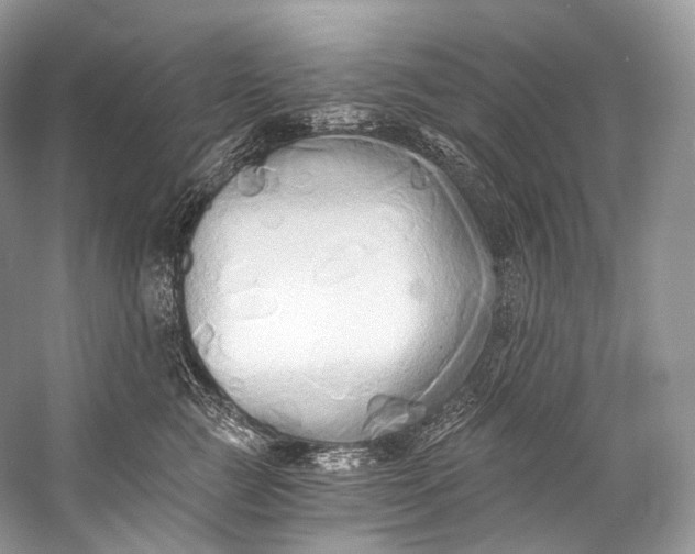 X0000058820761200510171537