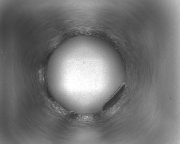 X0000058820768200510171537