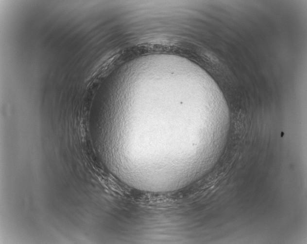 X0000058820774200510171536