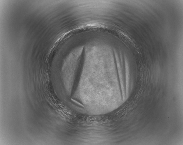 X0000058820776200510171536