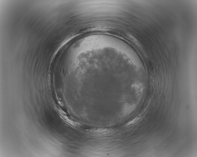 X0000058820779200510171536
