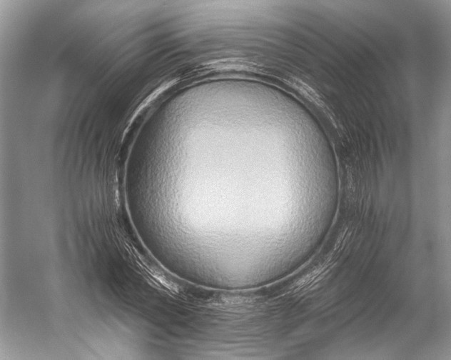 X0000058820782200510171536