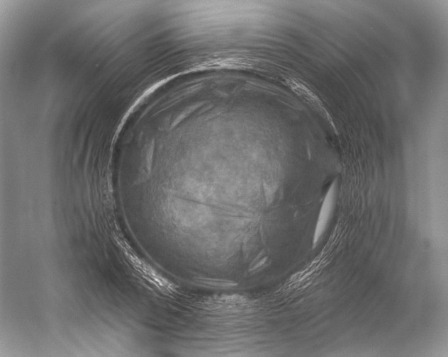 X0000058820784200510171536