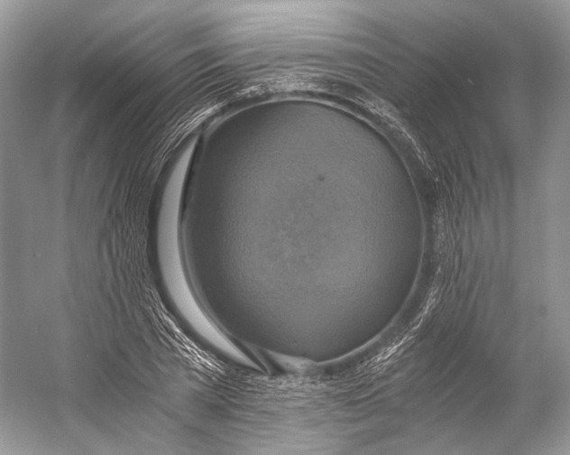 X0000058820785200510171536