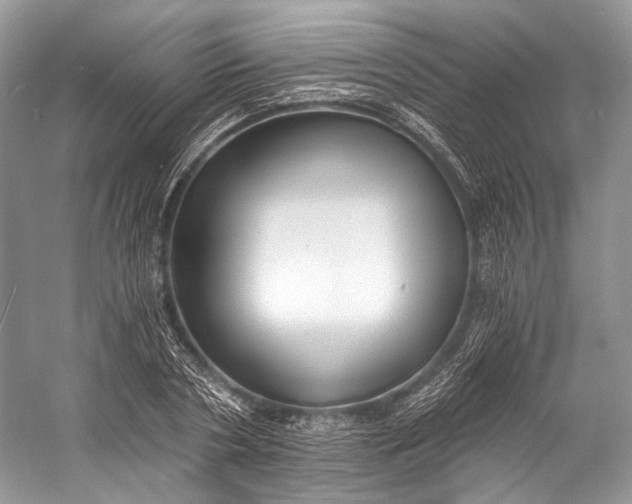 X0000058820786200510171536