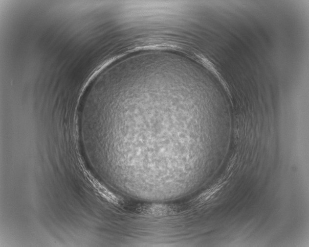 X0000058820787200510171536