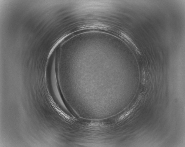 X0000058820788200510171536
