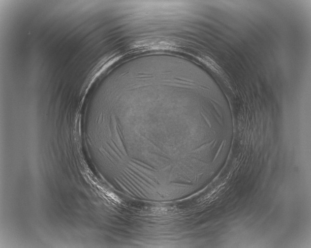 X0000058820790200510171536