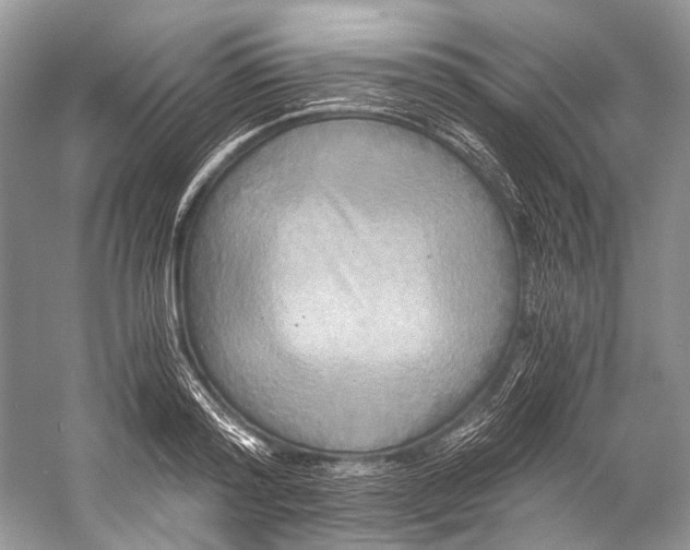 X0000058820796200510171536