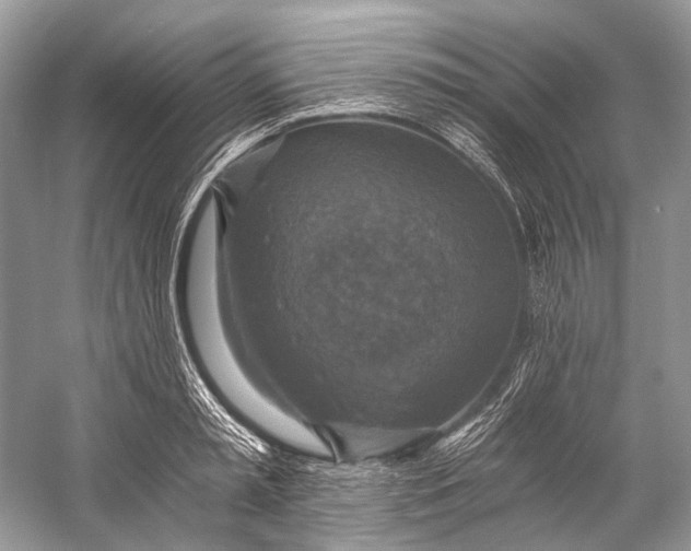 X0000058820797200510171536