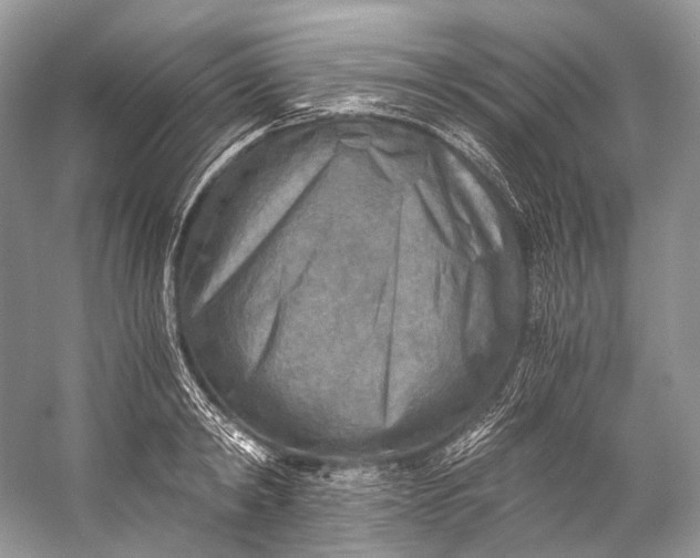 X0000058820798200510171536
