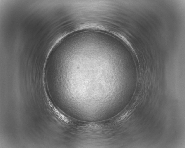 X0000058820799200510171535