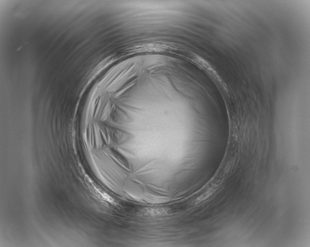 X0000058820802200510171535