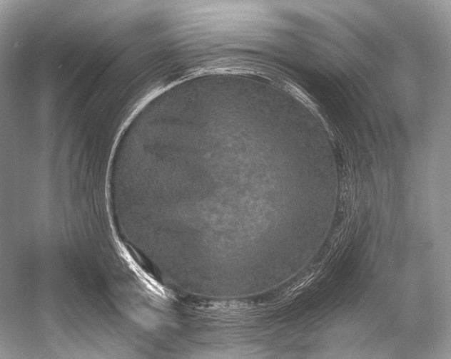 X0000058820803200510171535