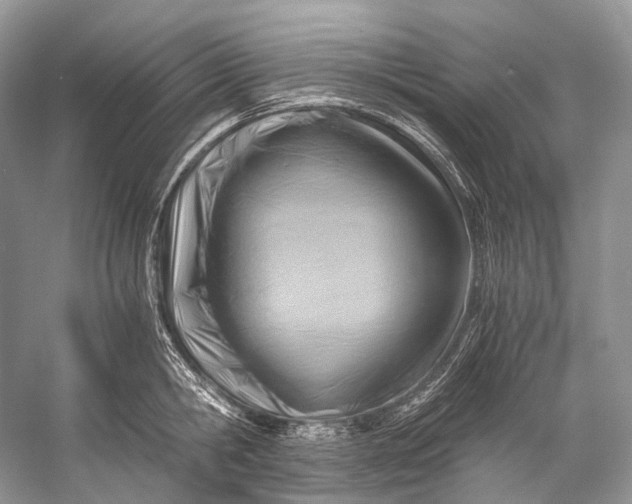 X0000058820806200510171535