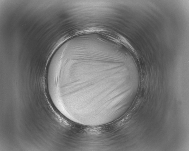 X0000058820810200510171535
