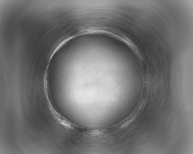 X0000058820814200510171535