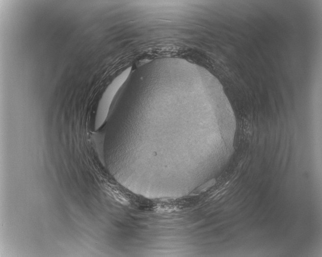 X0000058820818200510171534