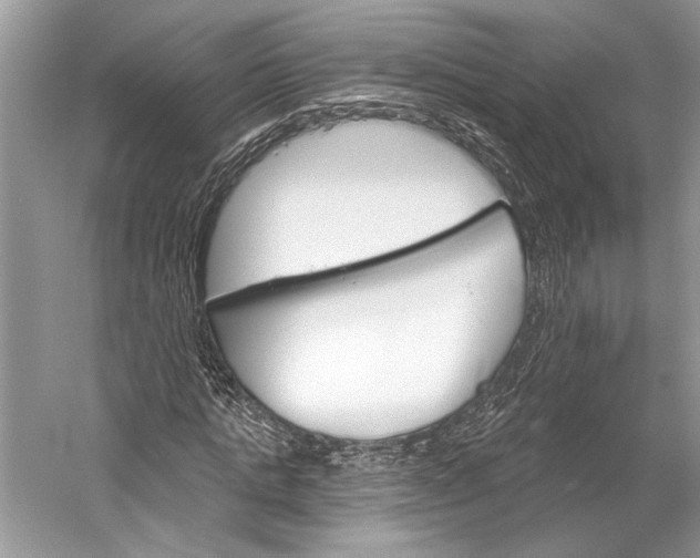 X0000058820821200510171534